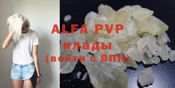 индика Покачи