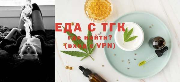 индика Покачи