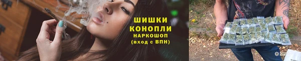 индика Покачи