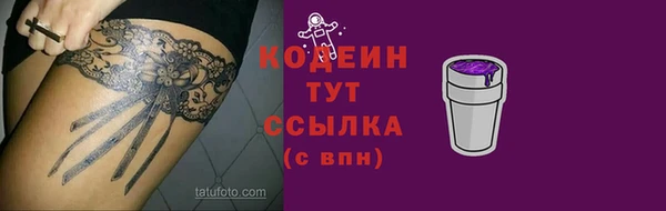 индика Покачи