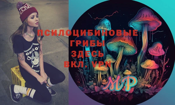 индика Покачи