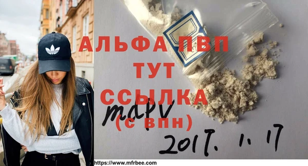 индика Покачи