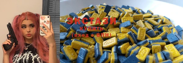 индика Покачи