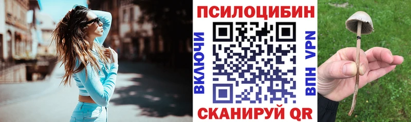 kraken как войти  Анива  Галлюциногенные грибы Cubensis 