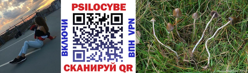 Галлюциногенные грибы Psilocybe Анива