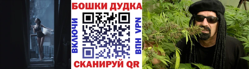 Конопля семена блэк спрут ссылки Анива